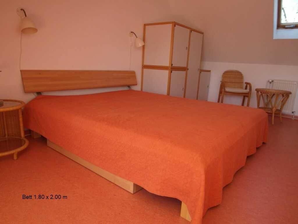 Birkenstrasse 6 I Wohnung 11 Zingst Rom bilde